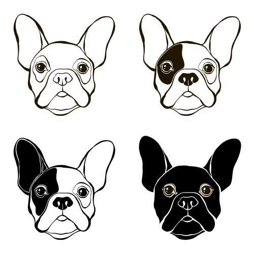 French bulldog. Vector french bulldog heads, four different white options