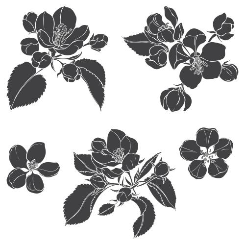 Apple tree. Vector apple tree flowers black silhouettes on white