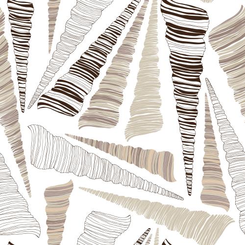 Illustration shells on white