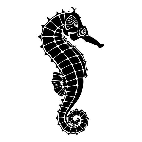 Illustration sea horse, black silhouette on white