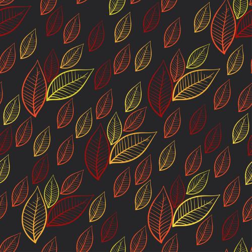 Vector image multicolored leaves on black