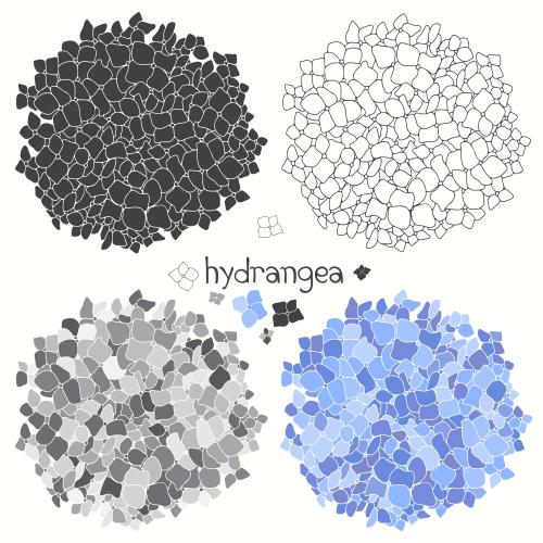 Hydrangea. Vector hydrangea flowers various isolated elements on white