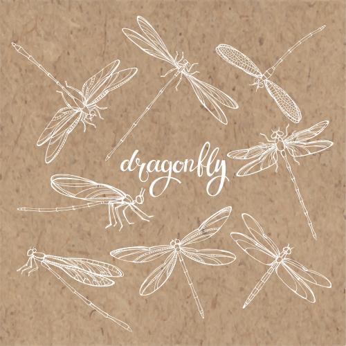 Dragonfly. Vector dragonflies white outlines on craft