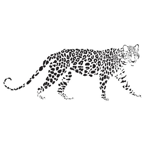 Leopard. Vector leopard on white