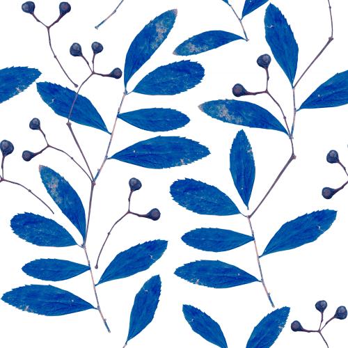 Raster image branches with blue leaves and berries on white