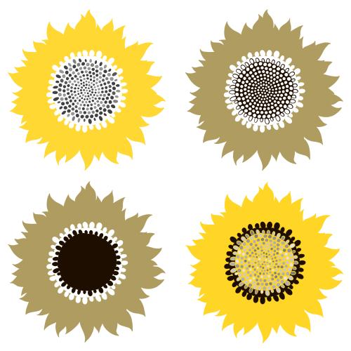 Sunflower. Vector sunflowers on white, decorative options