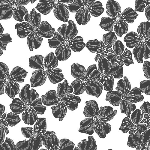 Jasmine. Vector jasmine flowers, silhouettes on white