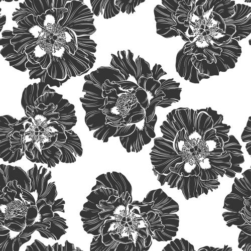 Vector image peonies black silhouettes on white