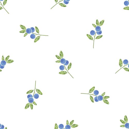 Illustration blueberry branches with berries on white