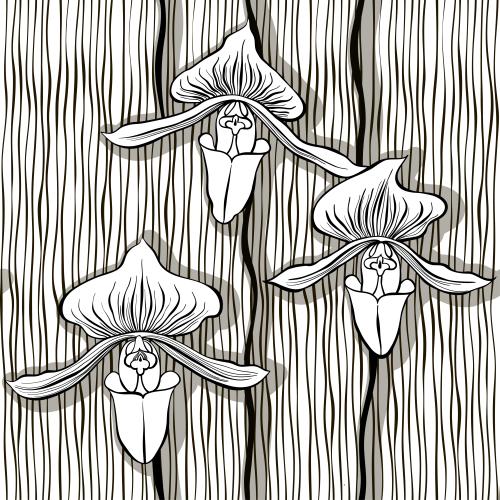 Orchid. Vector orchids and wavy vertical lines on white