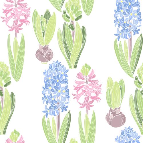 Hyacinth. Vector hyacinths pastel tones on white