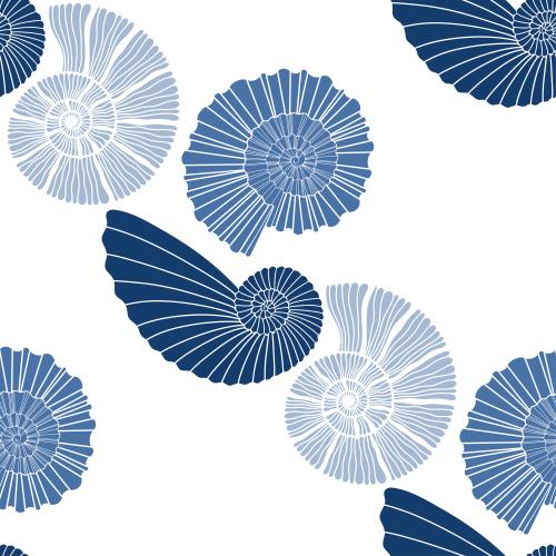 Nautilus. Vector nautiluses on white