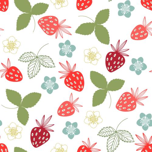 Strawberry. Vector strawberry, flowers, leaves and berries on white