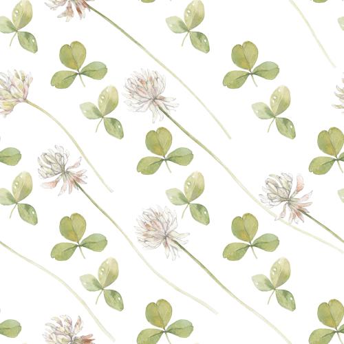 Raster image clover watercolor flowers and leaves on white diagonal composition