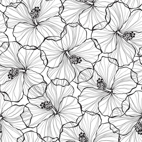 Summer. Vector hibiscus flowers black elegant contours on white