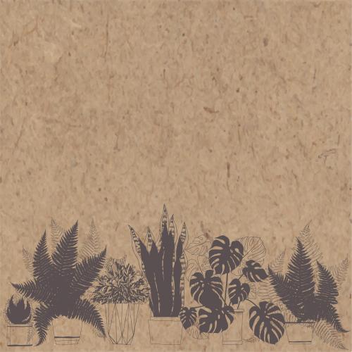 Cactus. Vector indoor plants in pots, place for text on craft