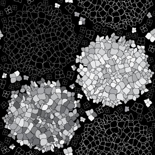 Hydrangea. Vector monochrome hydrangeas, contours and silhouettes on black
