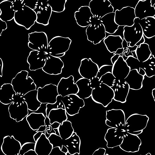 Jasmine. Vector jasmine flowers white contours on black