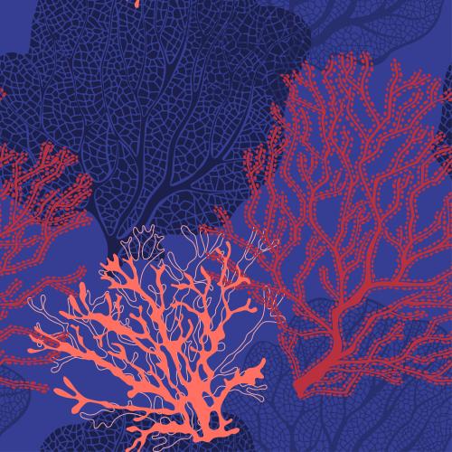 Vector image coral on blue