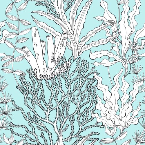 Illustration seaweed and corals on blue