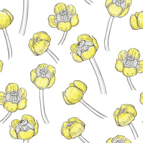 Vector image water lilies flowers on white