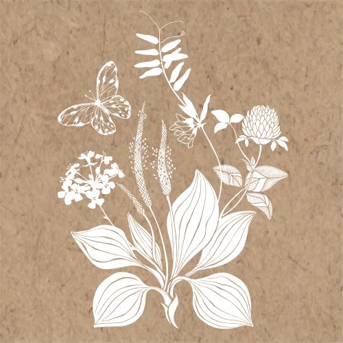 Rape. Vector plantain clover field flowers butterfly craft composition