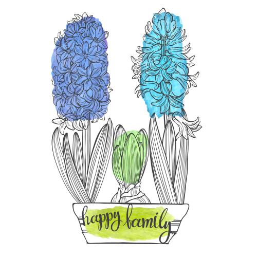 Hyacinth. Vector three hyacinths in a pot colorful watercolor fragments and the inscription happy family on white
