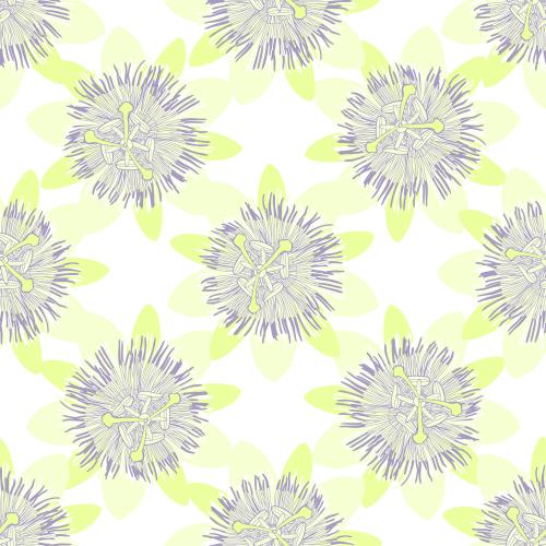 Passionflower. Vector passion flower, flowers on white