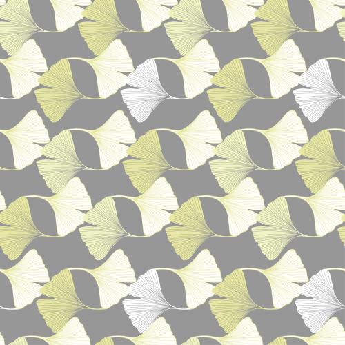 Ginkgo biloba. Vector ginkgo biloba silhouettes on gray