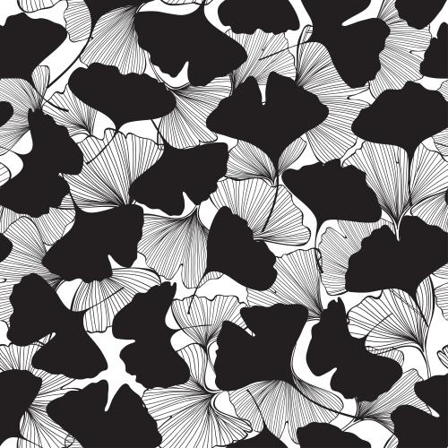 Leaves. Vector ginkgo biloba, contours and silhouettes of leaves on white