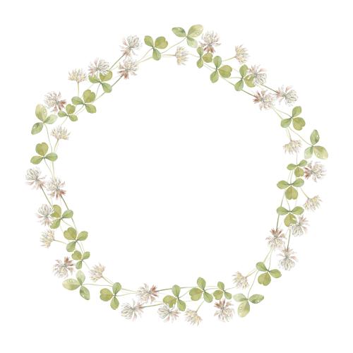 Raster image clover watercolor flowers and leaves circular frame-wreath on white