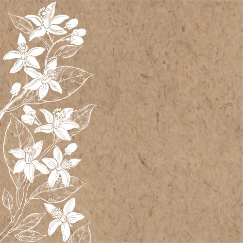 Neroli. Vector flowers neroli, place for text on kraft
