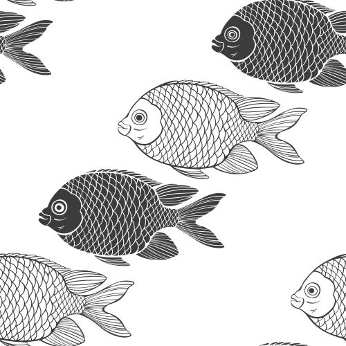 Vector image fish, black contours and silhouettes on white