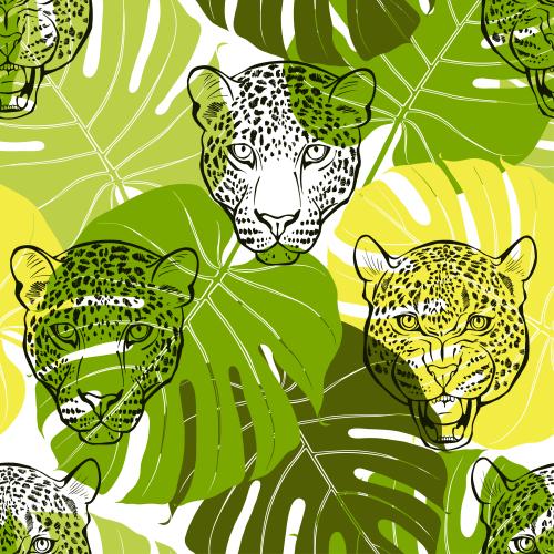 Vector image heads of leopards and monstera leaves on white