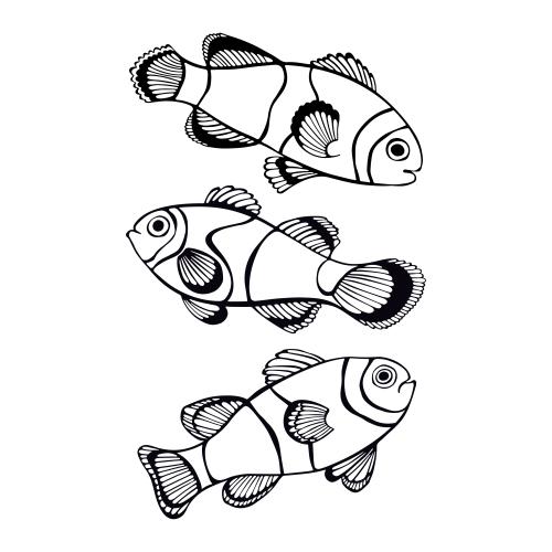 Vector image cute clown fish, three black contours on white