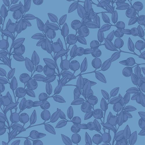 Bilberry. Vector blueberry branches with berries on blue