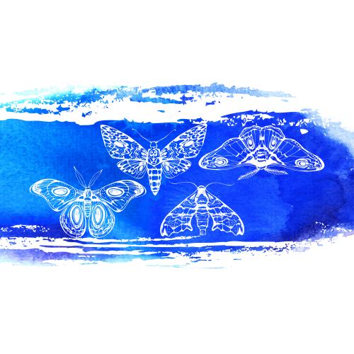 Illustration night butterflies blue watercolor stripe on white