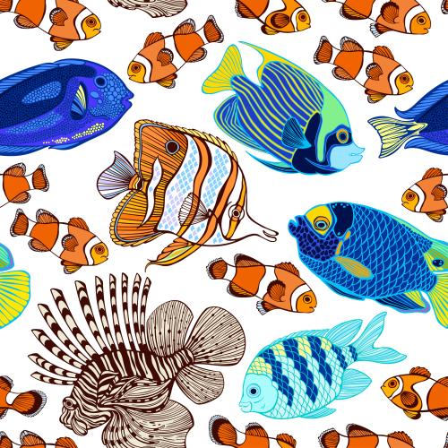 Illustration colorful tropical fish on white