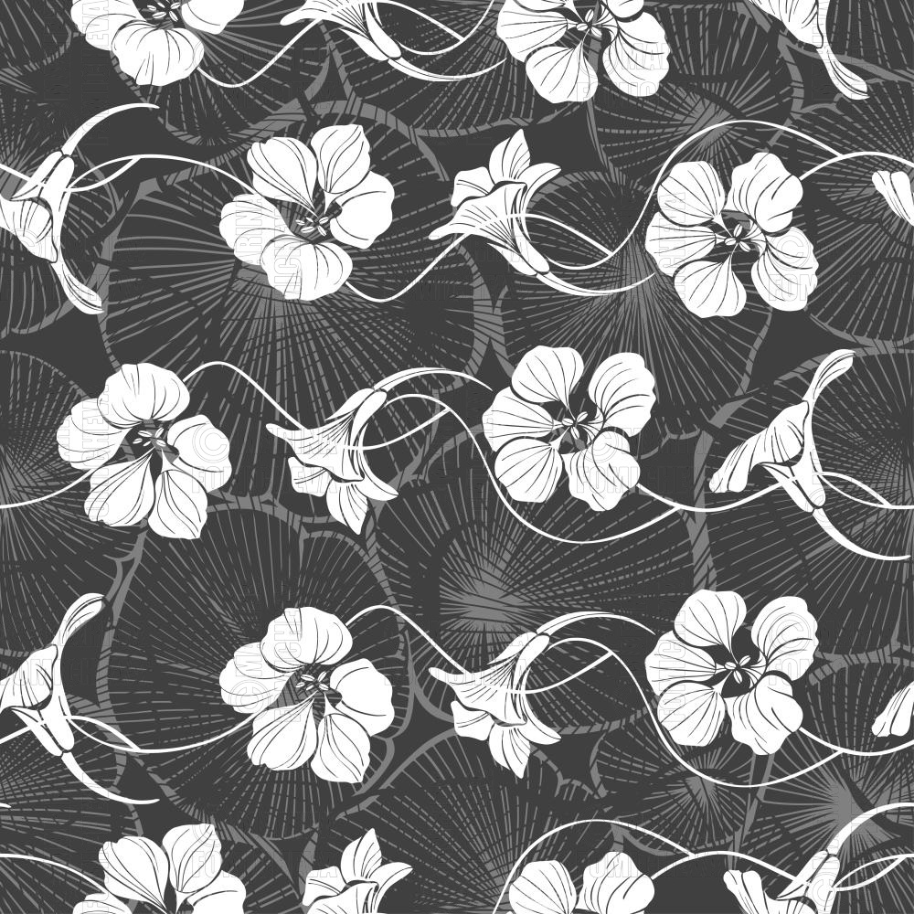 Vector image white silhouettes of nasturtium flowers on monochrome leaves