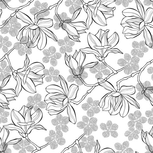 Sakura. Vector monochrome flowers magnolias and cherry blossoms on white