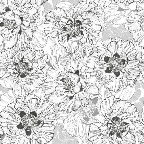 Vector image monochrome peonies, contours and silhouettes on white