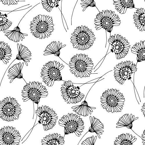 Chamomile. Vector daisies on white