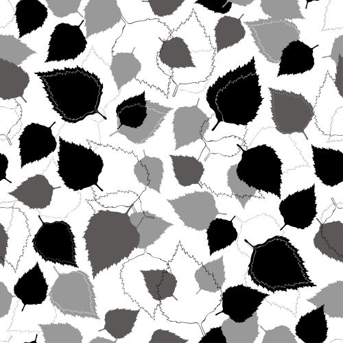 Birch. Vector monochrome birch leaves on white