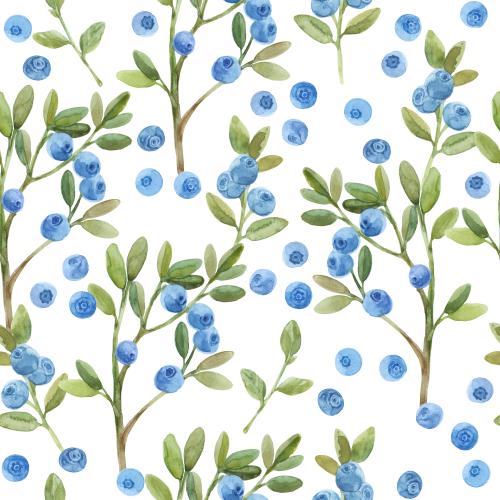 Raster image watercolor blueberry branches on white
