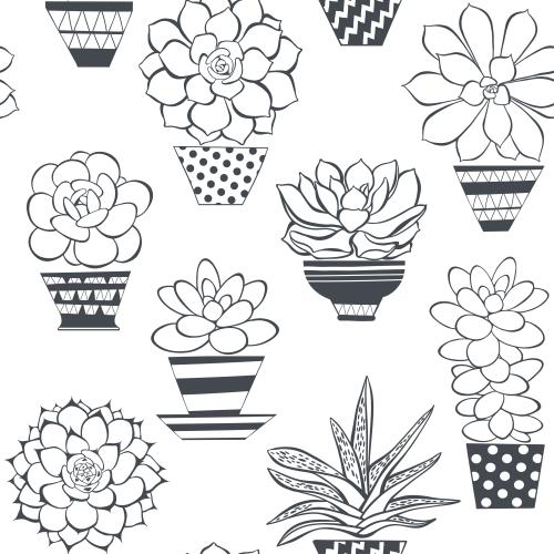 Succulent. Vector Pattern succulents in pots, contours on white