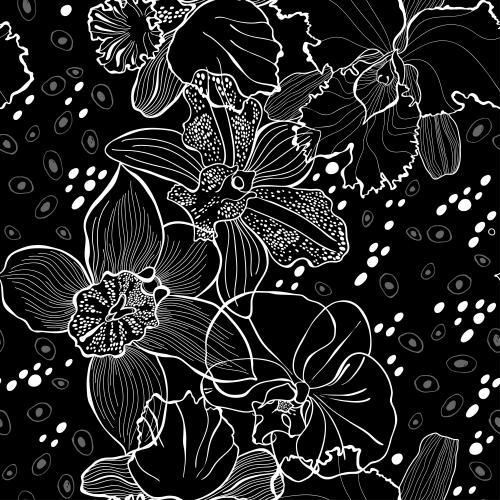Orchid. Vector orchids, white contours, decorative elements on black