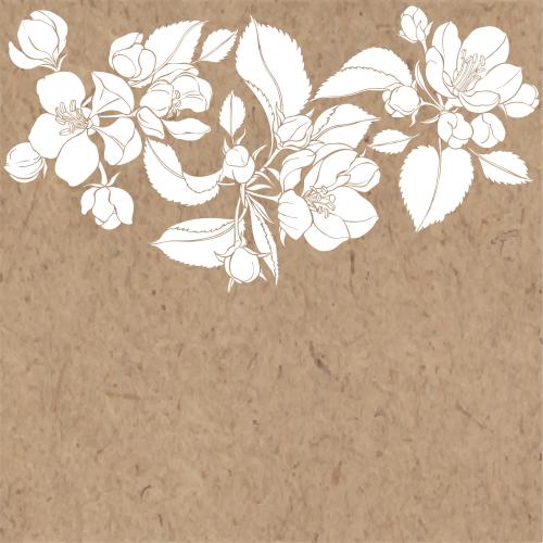 Apple tree. Vector apple tree flowers, white silhouettes, place for text on craft