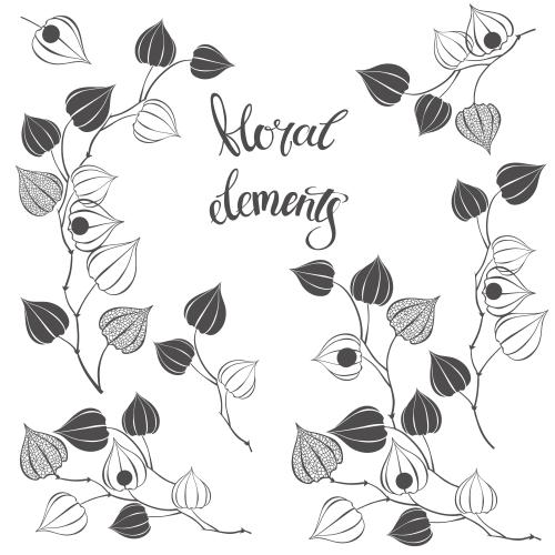 Illustration physalis, black silhouettes, various options on white