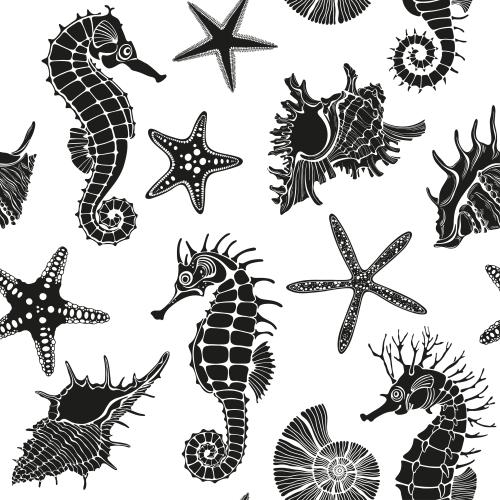 Nautilus. Vector sea horses shells sea stars black silhouettes on white