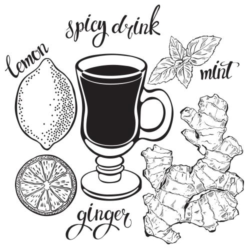 Mint. Vector lemon mint ginger glass labels spicy tea mint ginger lemon on white